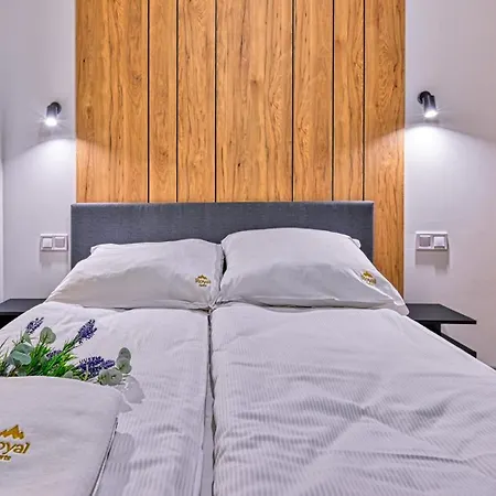 Centrum Park Z Sala Zabaw I Sauna By Royal Aparts Шклярська Поремба
